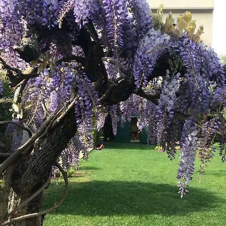 Villa Marlene B&B Albenga Zewnętrze zdjęcie