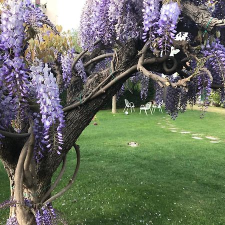 Villa Marlene B&B Albenga Zewnętrze zdjęcie