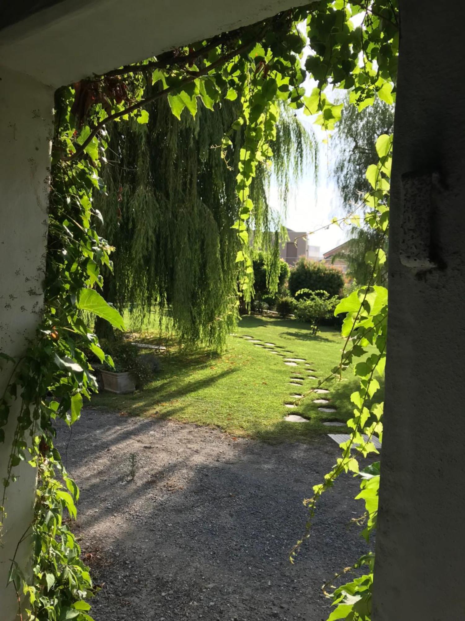 Villa Marlene B&B Albenga Zewnętrze zdjęcie