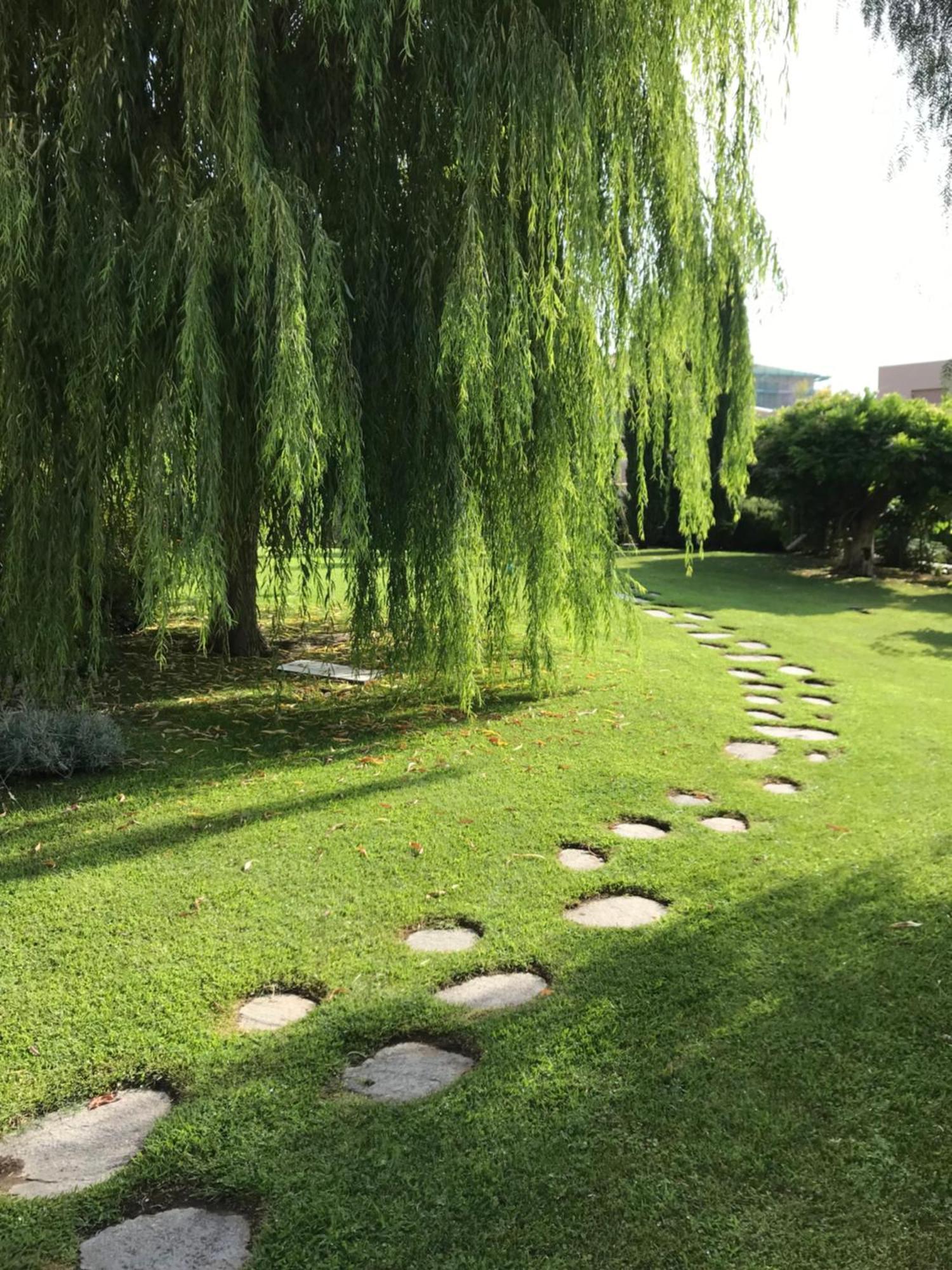 Villa Marlene B&B Albenga Zewnętrze zdjęcie