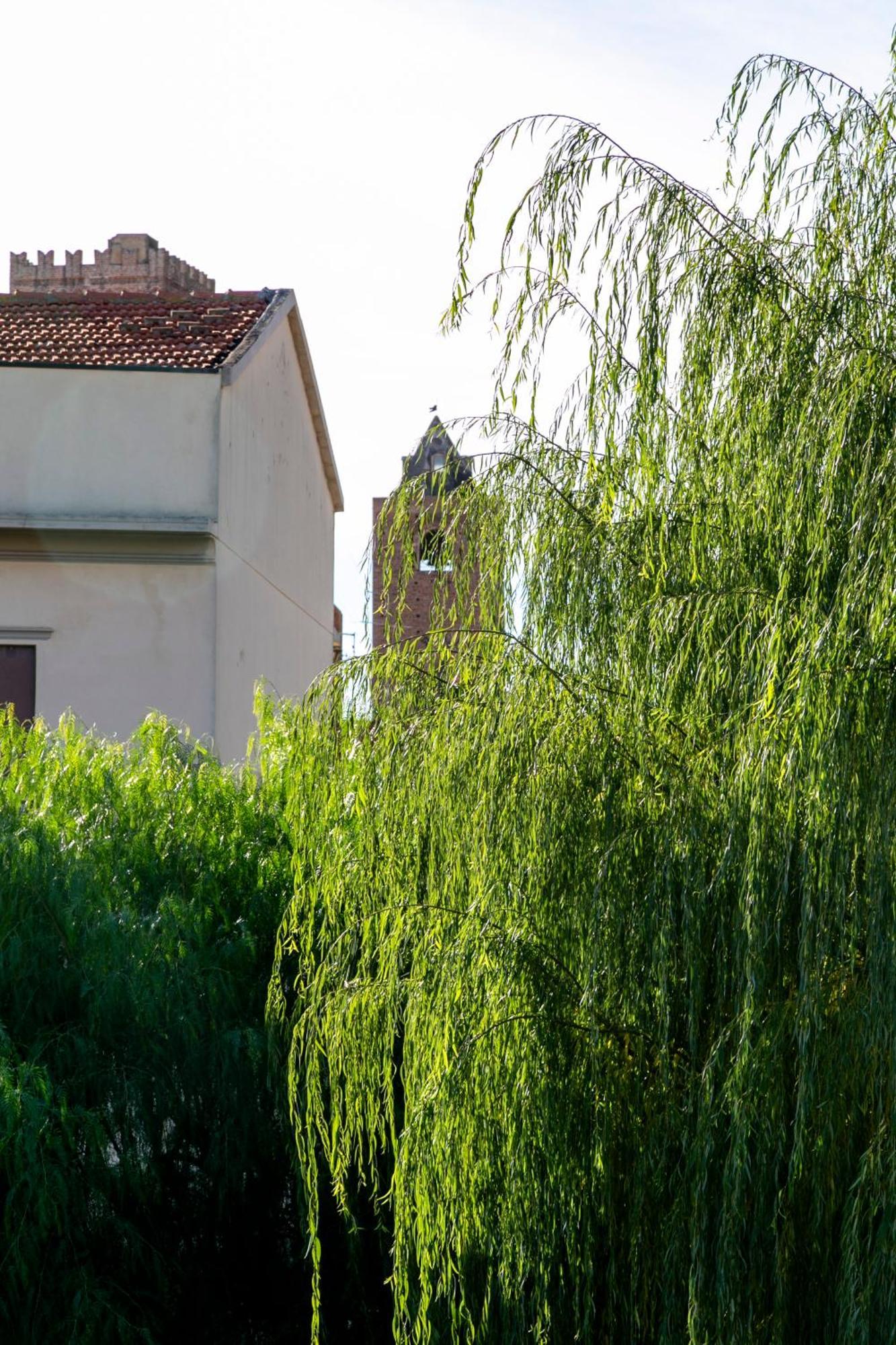 Villa Marlene B&B Albenga Zewnętrze zdjęcie